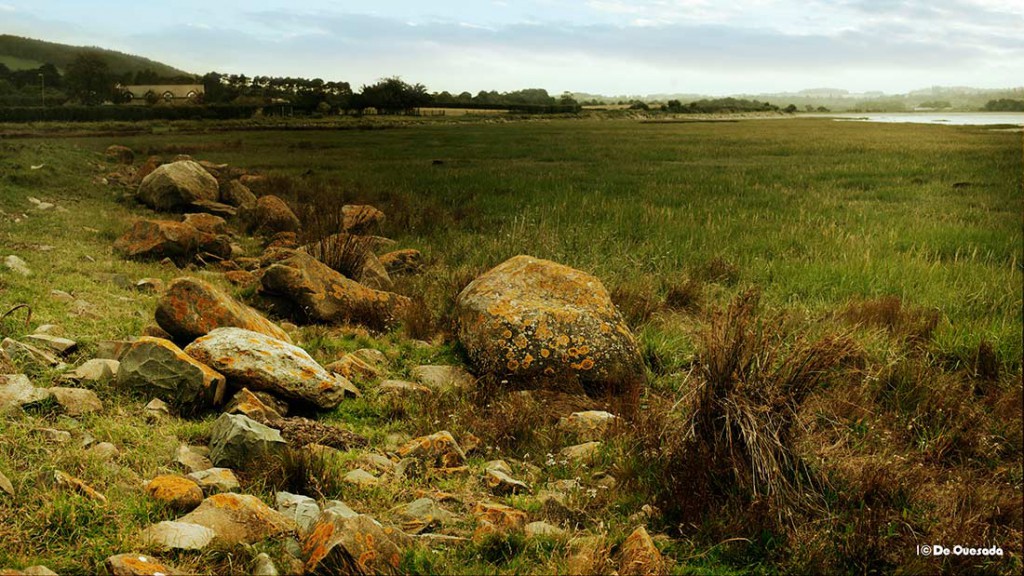 Galería de fotografía, rocas amarillas en el campo verde
