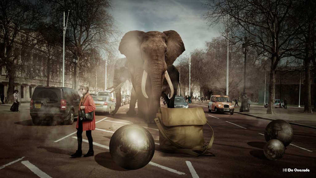 Galería de fotografía, señora en rojo cruzar la carretera con los coches y el elefante