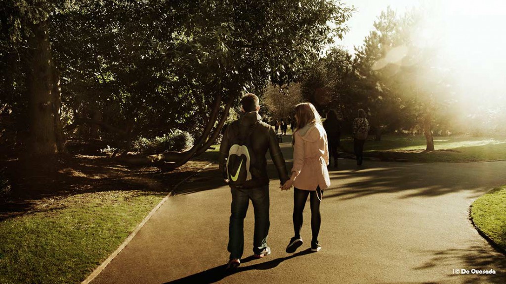 Photography gallery couple holding hands walking in the park