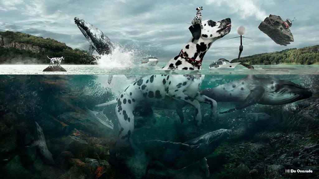 Photography gallery swimming dalmatian in the see with whales